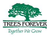 Trees Forever