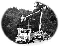 Waverly Light and Power Crews Work In All Kinds Of Weather